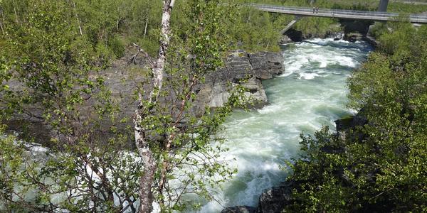 79. NP Abisko
