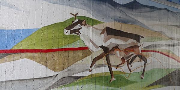80. NP Abisko