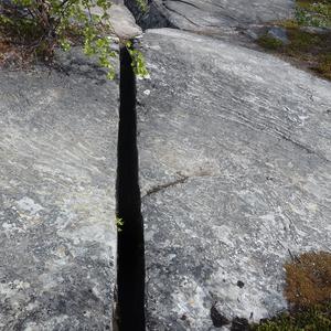 84. NP Abisko