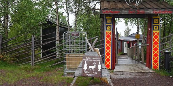 89. Kiruna Jukasjarvi laponská sobí farma 1