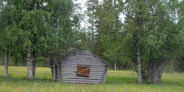 91. Cestou Kiruna - hranice v Pello