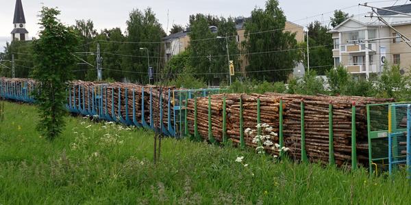 96. Rovaniemi centrum dřevo z finských lesů