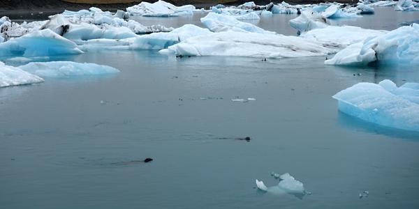 092-Jokullsárlón s tuleni