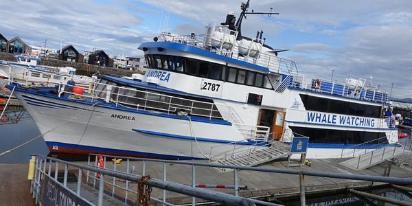 147-Reykjavík, naše loď Special tours