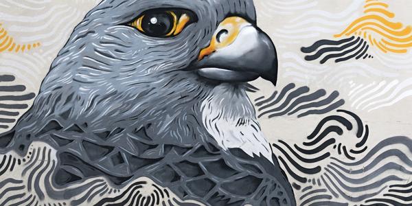 170-Reykjavík, graffitti