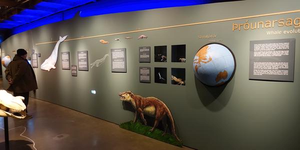 014-Húsavík, muzeum velryb