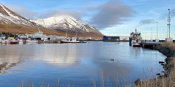 091-Trollaskagi, Dalvík 1