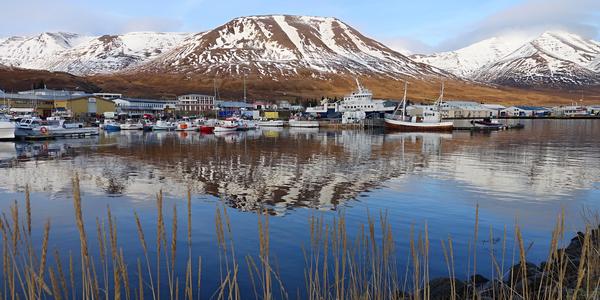 091-Trollaskagi, Dalvík 3