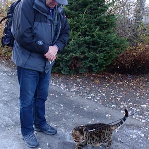 149-Akureyri, cenný kocour na procházce