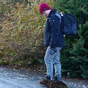 152-Akureyri, cenný kocour na procházce