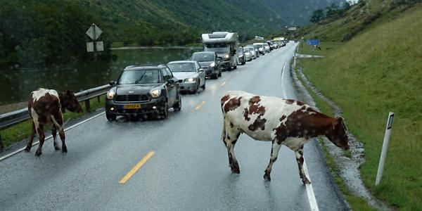 046 Cestou do Geirangeru