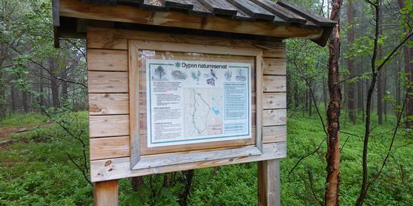 111 Lonselva