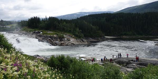 127 Nord Norge, Laksforsen