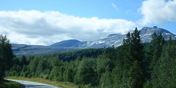 132 Polarsirkelen podruhé