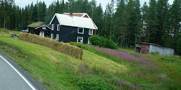 177 Hranice krajů Trondelag a Nord Norge