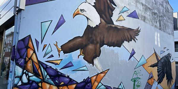 078 Na pěší zóně, Reykjavík je plný sgraffitti