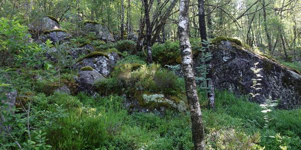 034-Preikestolen