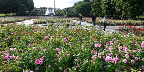 144-Oslo, Vigelandův park