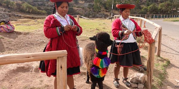 004-Cuzco, Sacsayhuaman
