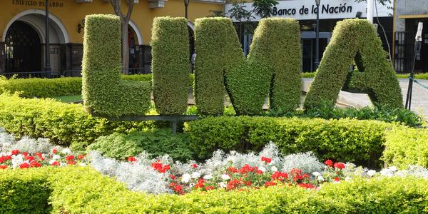 010- Lima