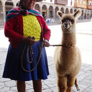 023-Cuzco, Indiánka s lamou