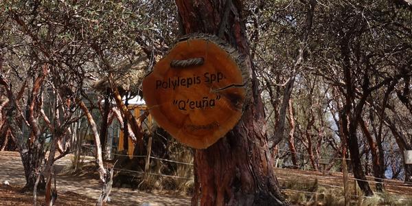 026-Cuzco, Sacsayhuaman 1a