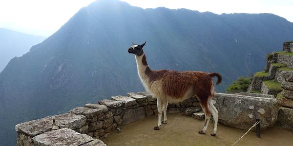 053-Machu Picchu, v paprscích slunce