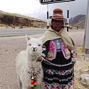 079-Altiplano, sedlo La Raya