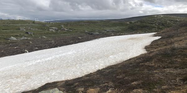 053-Polarcirkelen