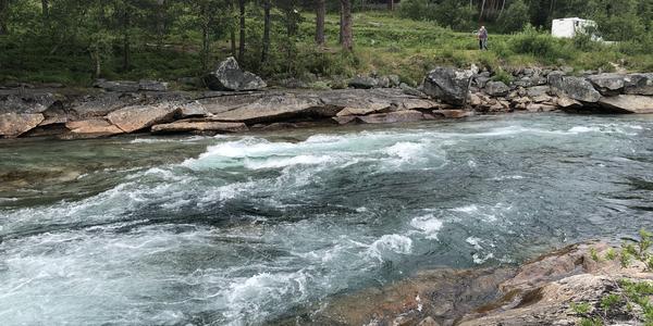 063-Rokland, Lonselva