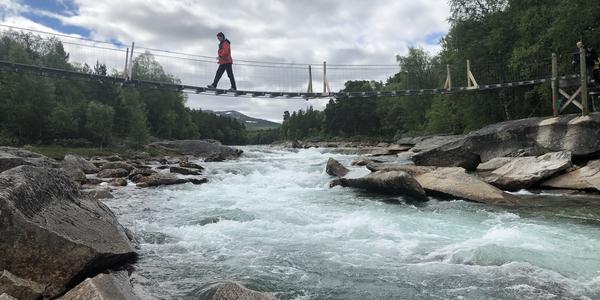 064-Rokland, Lonselva