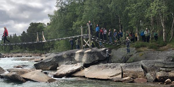 065-Rokland, Lonselva