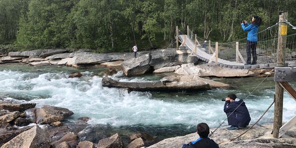 068-Rokland, Lonselva