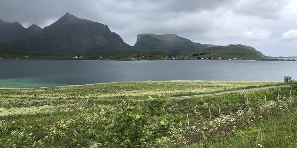 127-Lofoten, Flagstadoya