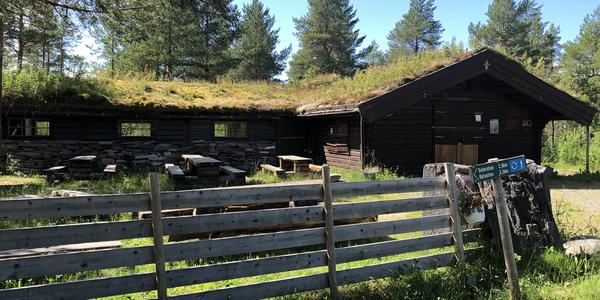 183-Snasa, Bolareinen