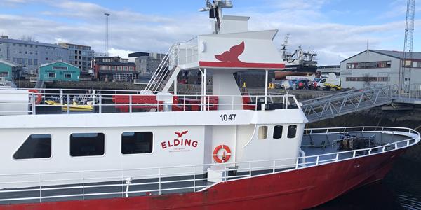 059-Reykjavík, Elding tour