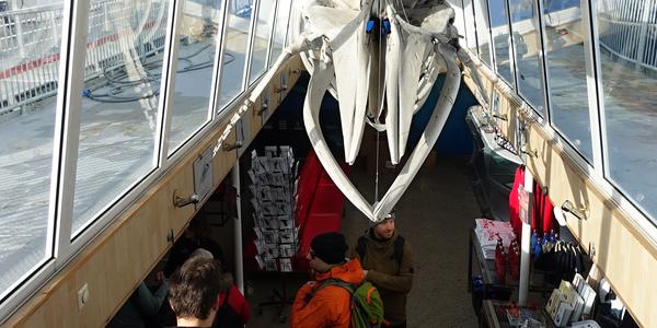 060-Reykjavík, Elding tour
