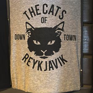 075-Reykjavík, koček je tu opravdu málo