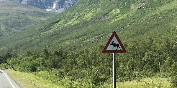 076-Na cestě z Alty do Tromso, Ramfjordbotn