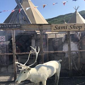 083-Na cestě z Alty do Tromso, Storsteinnes