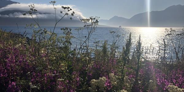 087-Na cestě z Alty do Tromso, Svensby