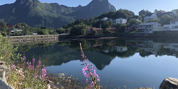 110-Lofoten, Svolvaer přístav