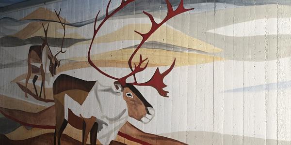 151-NP Abisko, unikátní podchod