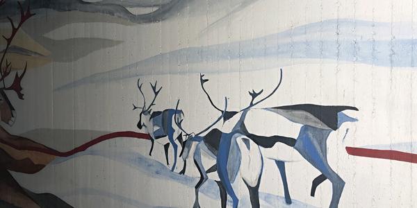 152-NP Abisko, unikátní podchod
