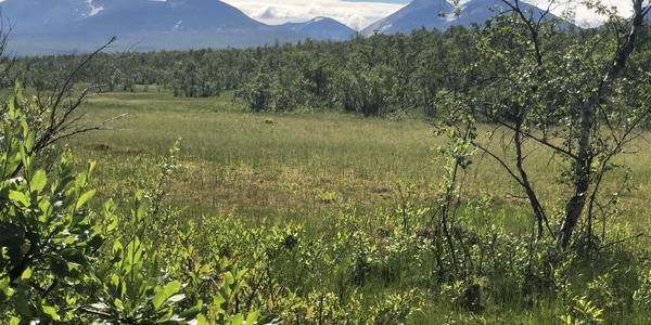 156-NP Abisko Sámi kemp