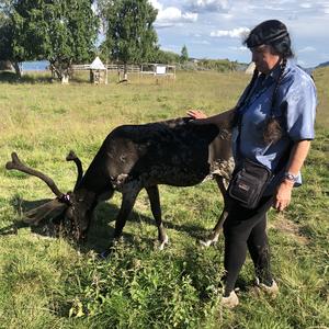 168-Jukkasjarvi, Nutti Sámi Siida