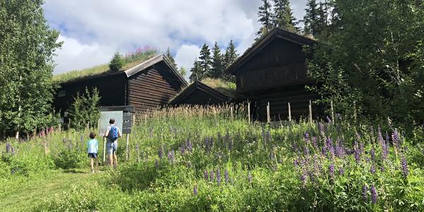 020-Lillehammer nahoře nad můstky
