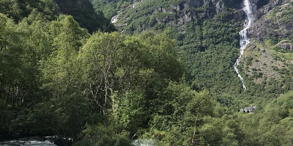 086-Briksdalsbreen