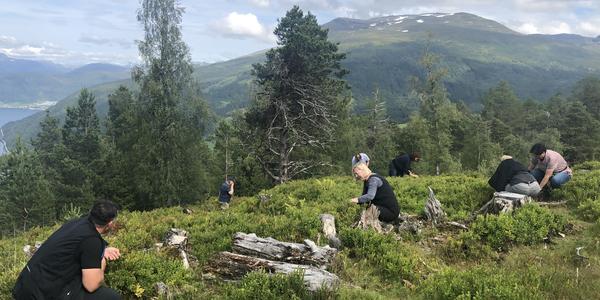 087-Utvik, na borůvkách