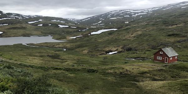 121-Stolsheimen Naturreservat